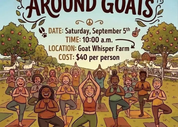 Ai generated image, group of people on yoga mats outside striking yoga poses, apple trees, blue sky, event information